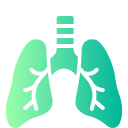 pulmones icon