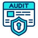 auditoría icon