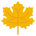Клен 
