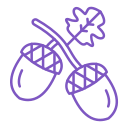 Acorn icon