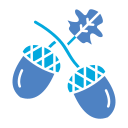 도토리 icon