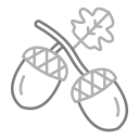 Acorn icon