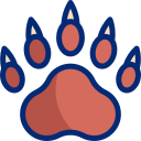 oso icon