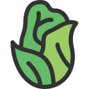 Lechuga icon