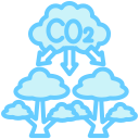 co2 icon