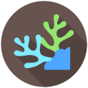 coral icon