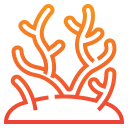 coral icon