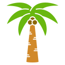 Árbol de coco icon