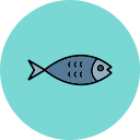 salmón icon