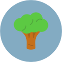 brócoli icon