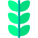 Ecológico icon