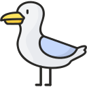 gaviota icon