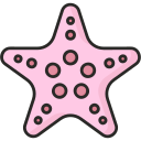 estrella de mar icon