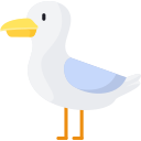 gaviota icon