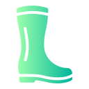 botas icon