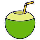 bebida de coco icon