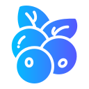Blueberry icon