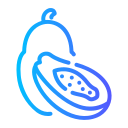 papaya icon