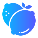 Lime icon