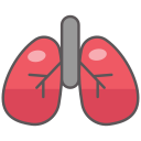 pulmones icon