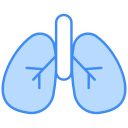 pulmones icon