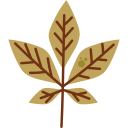 Leaf icon