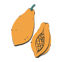 papaya icon