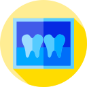 X ray icon