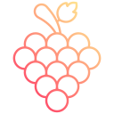 uvas icon