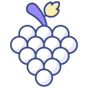 uvas icon