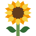 girasol icon