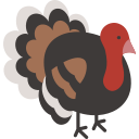 pavo icon