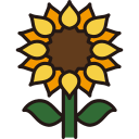 girasol icon