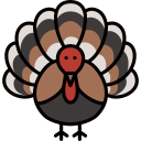 pavo icon