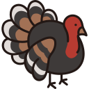 pavo icon