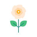 flores icon