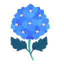 hortensia icon