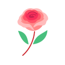 rosa icon