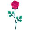 rosa icon