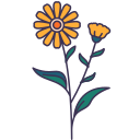 fleur 