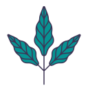 나뭇잎 icon