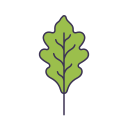 잎 icon