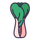 pak choi (bok choi) icon