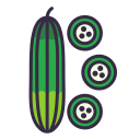 pepino icon