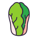 lechuga icon