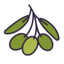 aceitunas icon