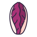 radicchio icon