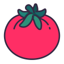 tomate icon