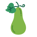 aubergine 