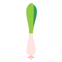 oignon vert 